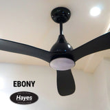 EBONY