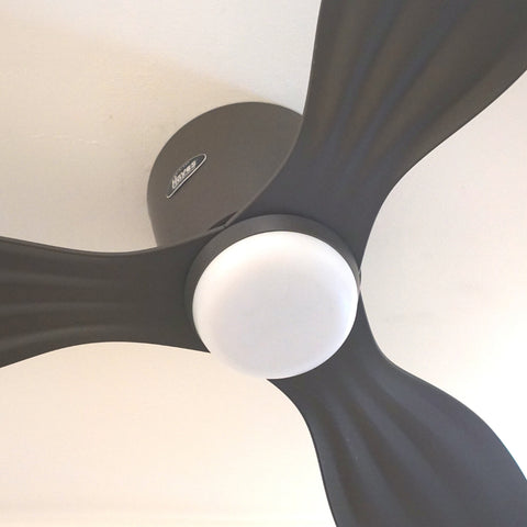 Hayes DC Ceiling Fans